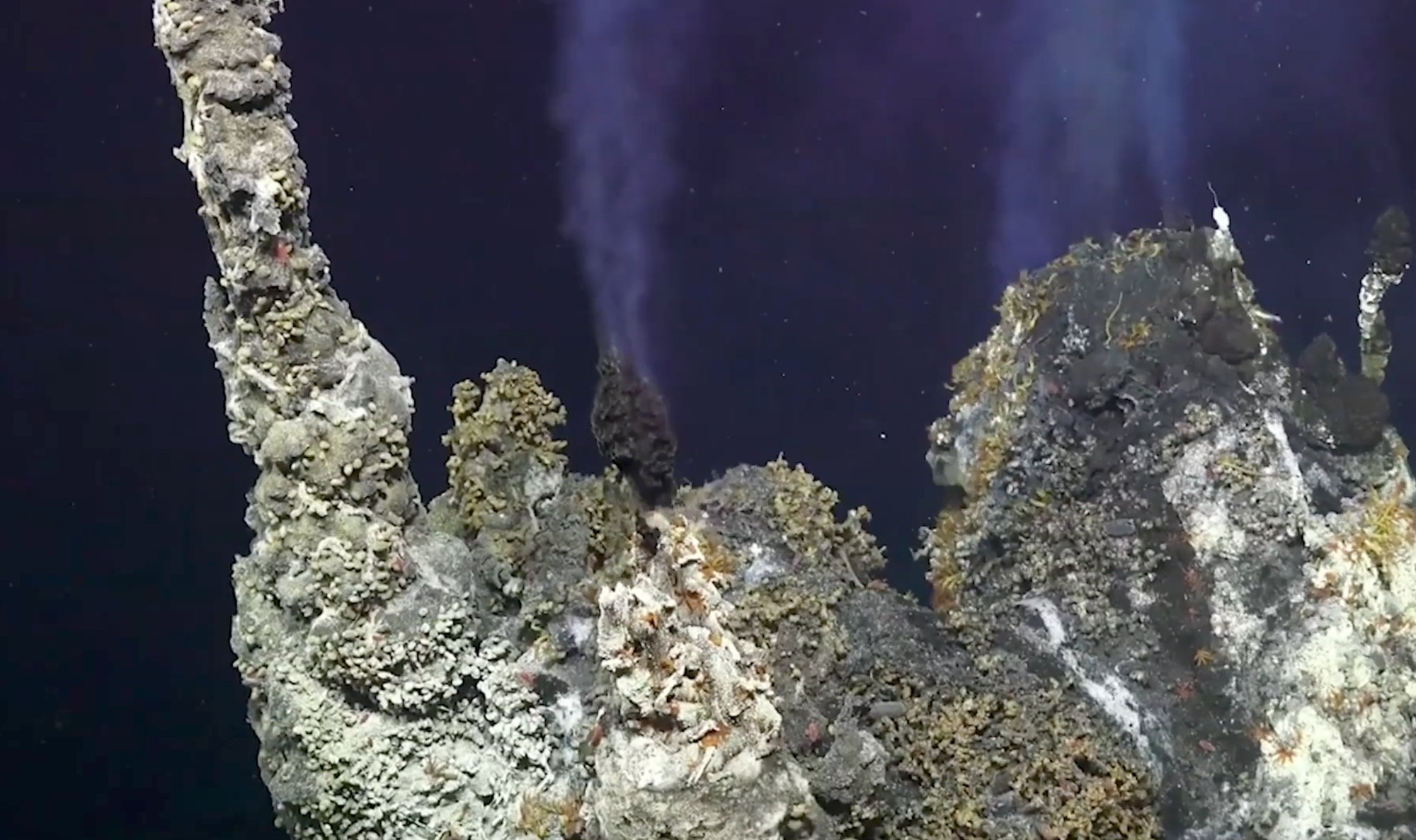 Ocean Observatories Initiative